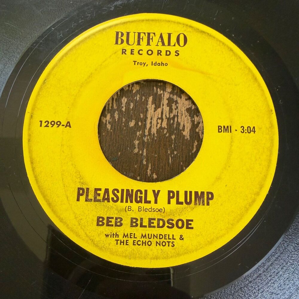 Beb Bledsoe Echo Nots Pleasingly Plump Lonely 45 Buffalo 1299 HEAR Troy Id RARE